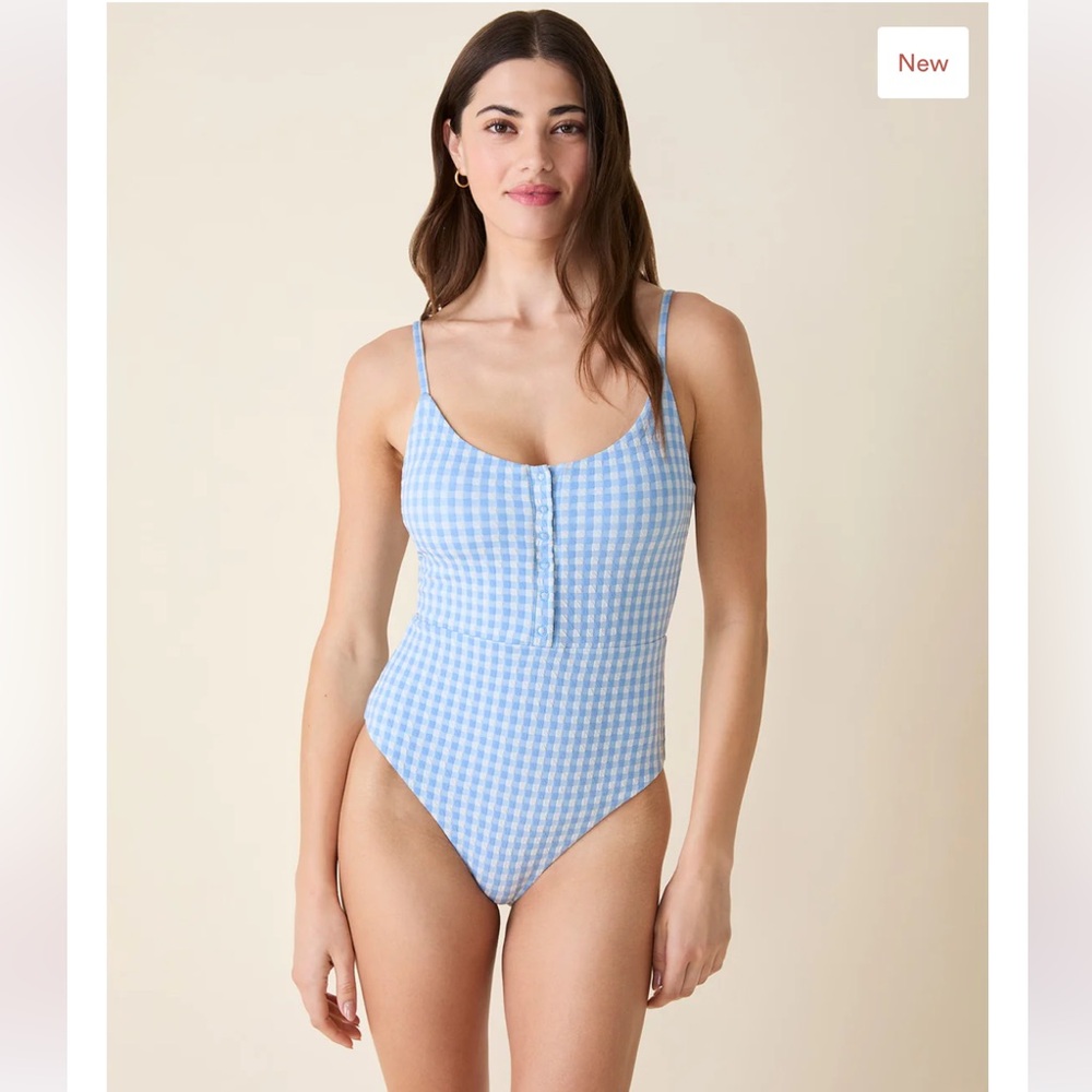 Andie Blue Gingham One-Piece Swimsuit